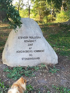 Stensby Møllebæk (Malling's Gorge) — fotografia 4