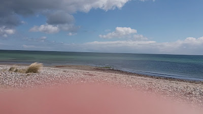 FKK Camping Ostsee — fotografia 2