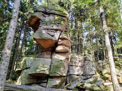 Observation tower Cow Mountain — fotografia 4