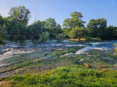 Čeveljuša — fotografia 4