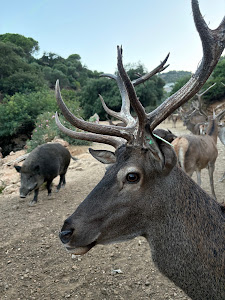 Eco Reserva Ojen — fotografia 5