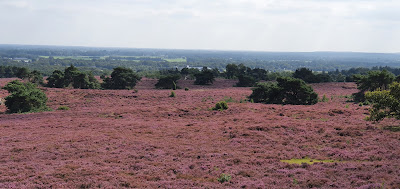 Lemelerberg — fotografia 4