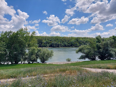 Pünkösdfürdő Park — fotografia 5