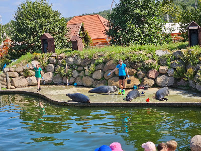 Charlotta Valley Seal Sanctuary — fotografia 3