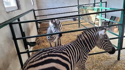 Zoo vrt Vrnjci — fotografia 3