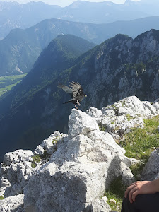 Debela peč — fotografia 4