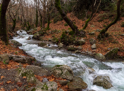 Μονοπάτια Σ 2 & Σ 3 — fotografia 5