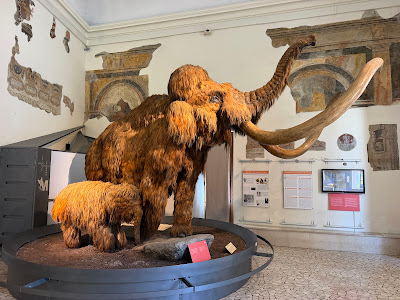 Civic Museum of Natural Sciences in Bergamo — fotografia 4