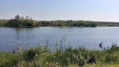 Lacul Parcheş