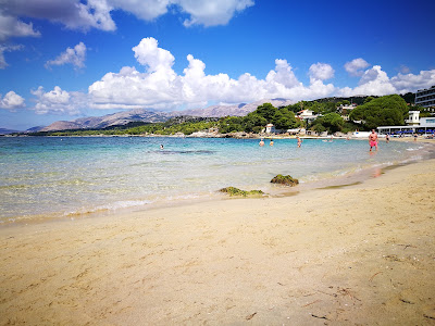 Paliostafida Beach — fotografia 5