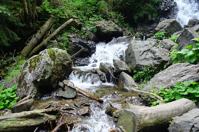 Cascada Buciniș, sat Pătrăhăițești — fotografia 3
