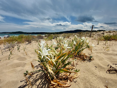 Arkutino Beach — fotografia 5
