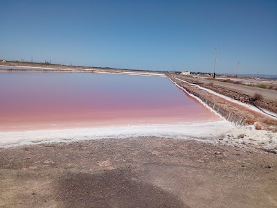 FAI - Saline Conti Vecchi — fotografia 5