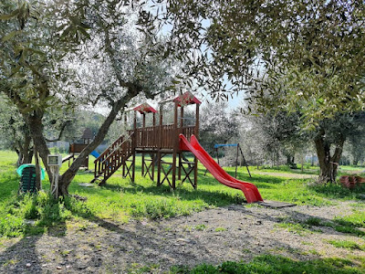 Agricampeggio Paliano — fotografia 4