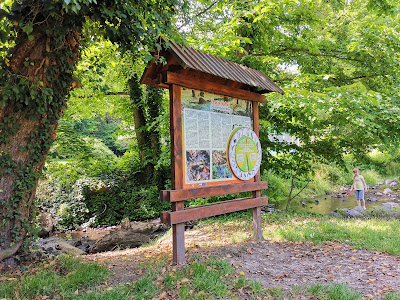 Partisan Meadow — fotografia 3