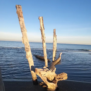 Spiaggia libera di Lido di Dante — fotografia 5