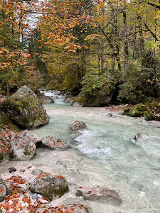 Ramsauer Ache im Zauberwald — fotografia 5