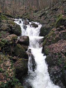 Cascada Şopot — fotografia 4