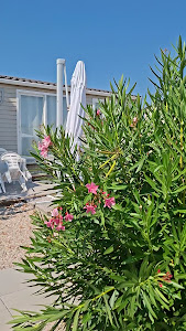 Agricamping Noara Beach adult only — fotografia 3