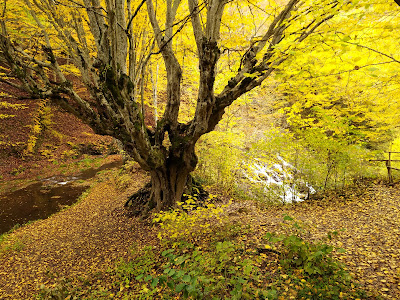 Dokuzak Waterfall — fotografia 5
