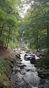 Wasserfall Bischofshofen (UNESCO-Geopark Erz der Alpen) — fotografia 4