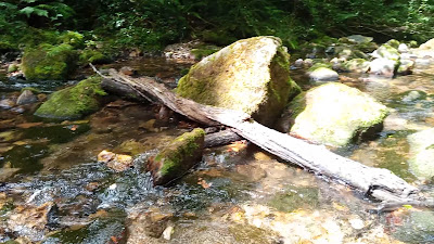 Pesanca recreation area, Piloña, Asturias — fotografia 2