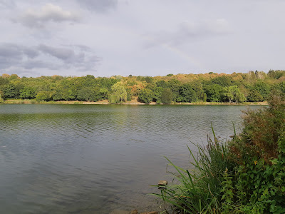 Malomvölgy Lake — fotografia 5
