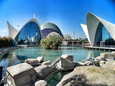 L’Oceanogràfic — fotografia 5