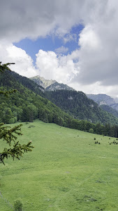 Poiana Stânei Regale — fotografia 4