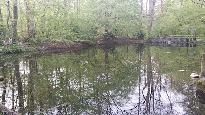 Pasinger Stadtpark — fotografia 3