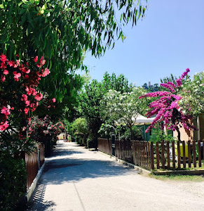 Villaggio Turistico Camping Paradiso — fotografia 5