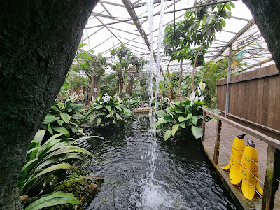 Almere Jungle — fotografia 4