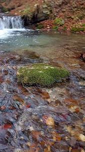 Izvoarele din Plai — fotografia 4