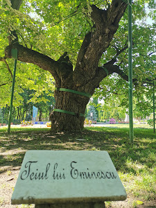 Teiul lui Eminescu