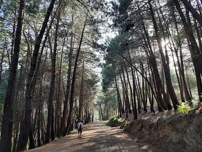 Sendero Cruz de Juanar — fotografia 4