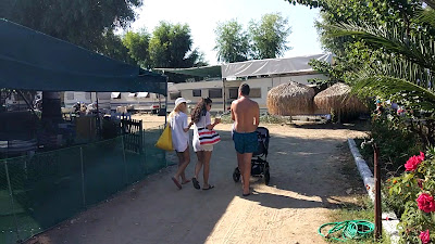 Camping Alikes Ammouliani