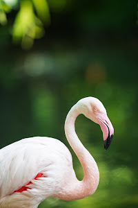 Zoo Augsburg — fotografia 3