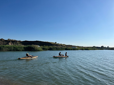 Moby Dick - Camping Park — fotografia 5