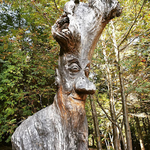Sentiero Spirito Del Bosco — fotografia 4