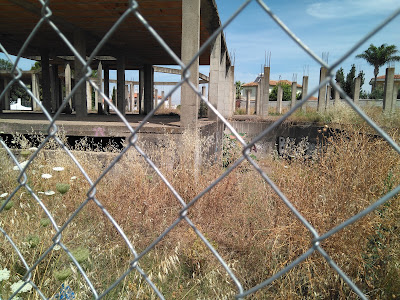 Pinar San Ginés Park — fotografia 3