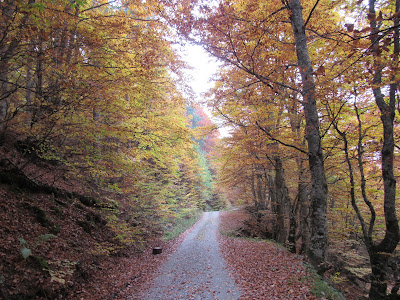 Path of Love - Path of Wishes — fotografia 4