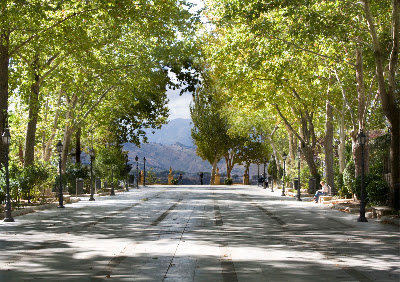 Alameda del Tajo — fotografia 3