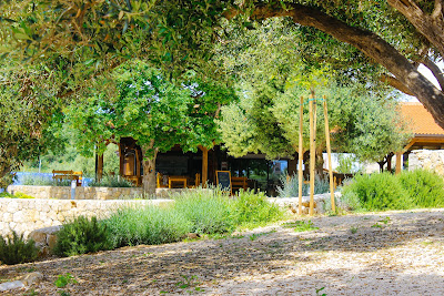 Olea Camping — fotografia 5