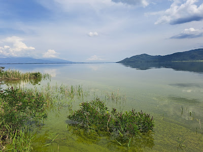 Lake Kerkini — fotografia 3