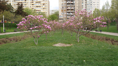Parcul Morarilor — fotografia 4