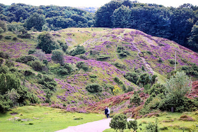 Rebild National Park — fotografia 5
