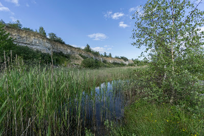 Karlstrup Kalkgrav — fotografia 4
