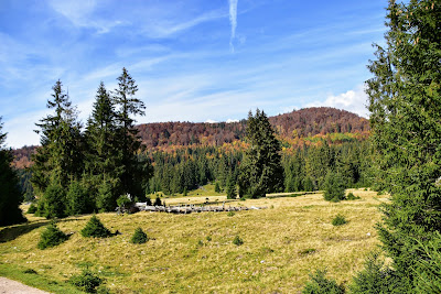 Padiș — fotografia 5