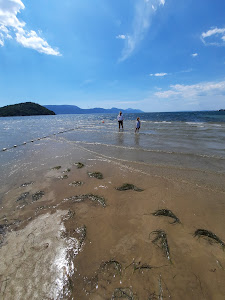 Delta Beach — fotografia 5