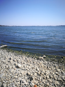 Lacul Techirghiol — fotografia 5